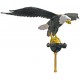 24" Natural Eagle Ornament