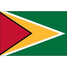 6x10' Nylon Guyana Flag