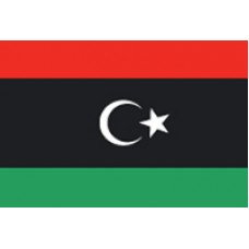 2x3' Nylon Libya Flag