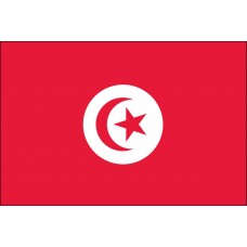 6x10' Nylon Tunisia Flag