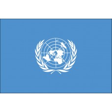 4x6" Hand Held United Nations Flag