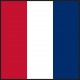"T" Signal Flags