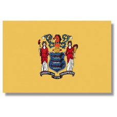 2x3' Nylon New Jersey Flag