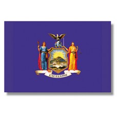 2x3' Nylon New York Flag